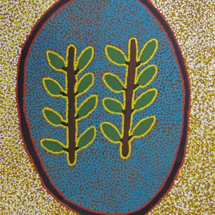 Painting by Jenny Nakamarra Timms - Painting - Jenny Nakamarra Timms