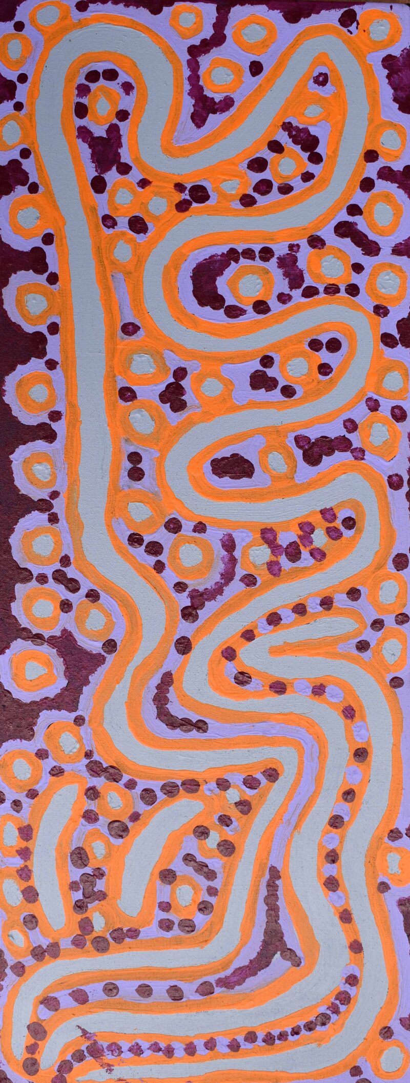 Bush Vine Dreaming - Ngalyipi Jukurrpa - Painting - Biddy Long