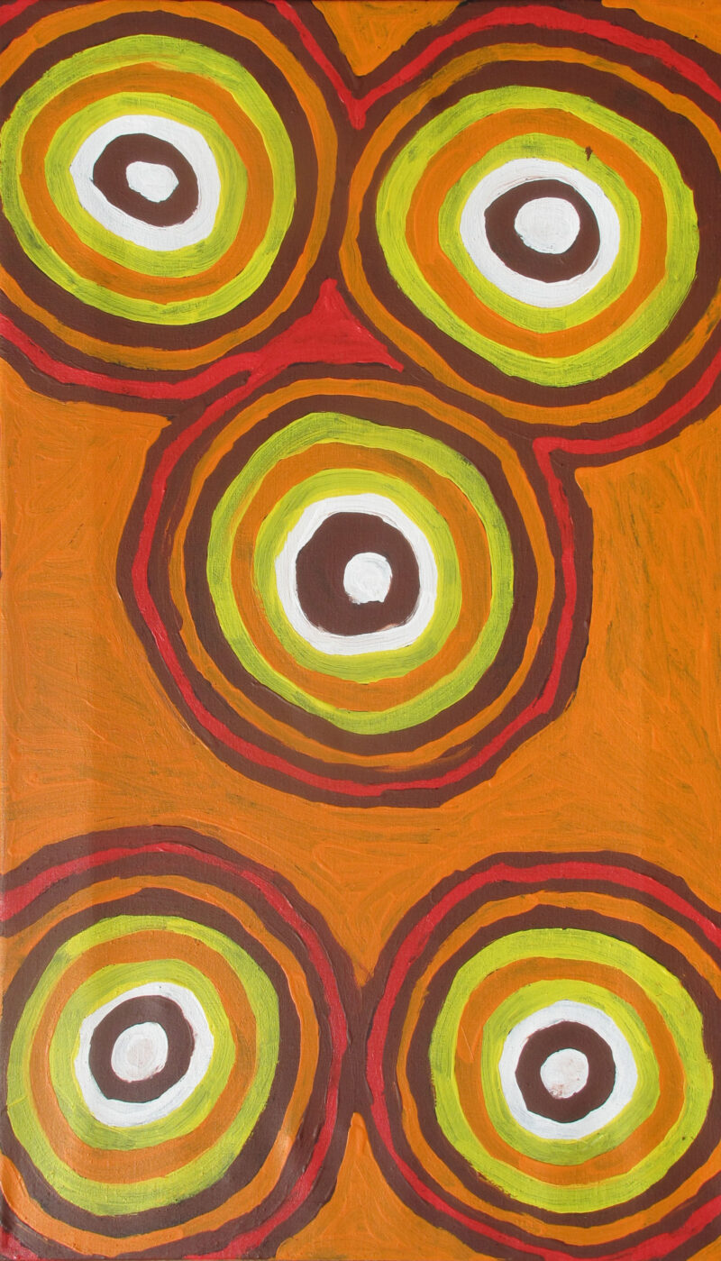 Bush Onion Dreaming - Janmarda Jukurrpa - Painting - Biddy Timms