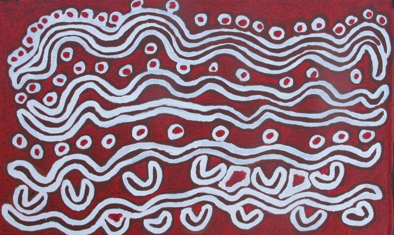 Bush Vine Dreaming - Ngalyipi Jukurrpa - Painting - Biddy Long