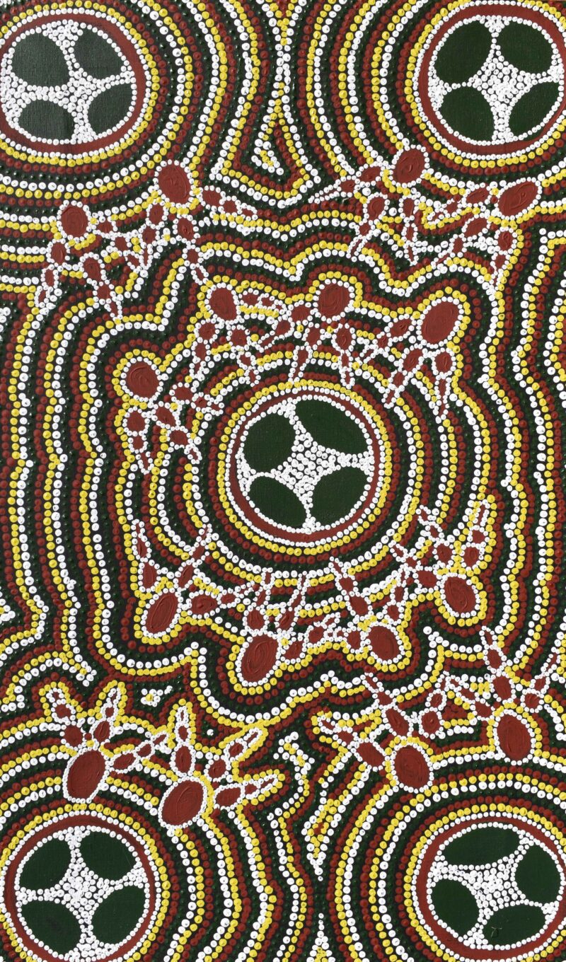 Emu Dreaming - Yankirri Jukurrpa (Nangala, Nampijinpa-kurlangu) - Painting - Ruth Jigili