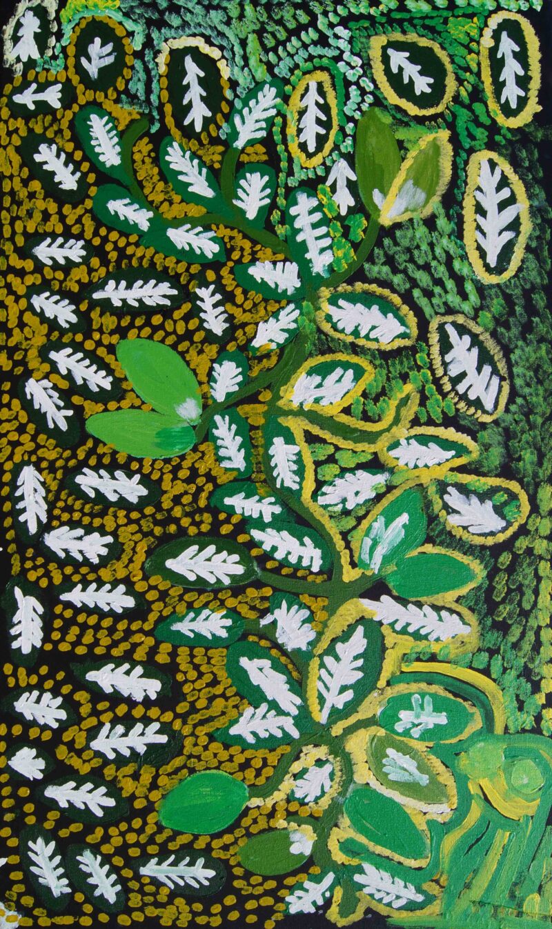 Bush Banana - Yuparli Jukurrpa - Painting - Sonya Napaljarri Cooke